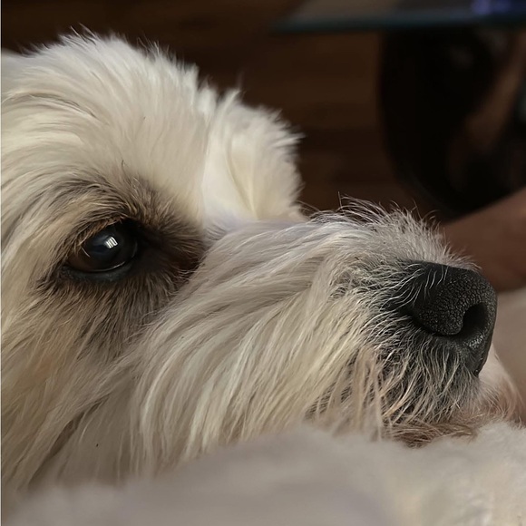 It’s ME: Your Friendly, Beach 🏝️ Girly Posher, Teresa. I ❤️ all things vintage - Picture 2 of 4